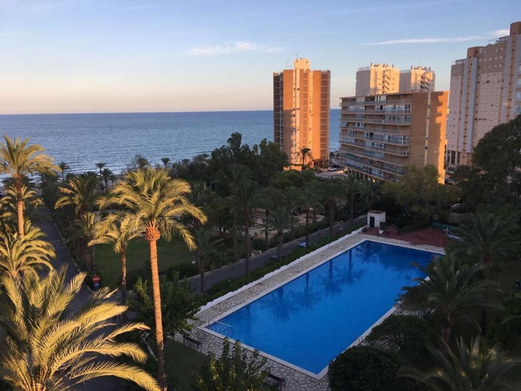 Alicante Plage Muchavista Vu Mer Piscine ,Wifi 外观 照片